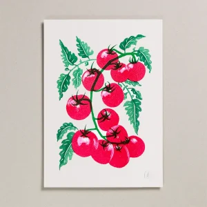 Affiche Tomate Riso