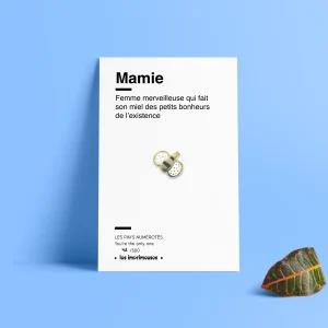 Pin's - Abeille - Mamie femme merveilleuse - Spécial fête des Grands-mères