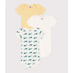 Ensemble de 3 Bodies en Coton à Manches Courtes - Baleine/Jaune/Vert