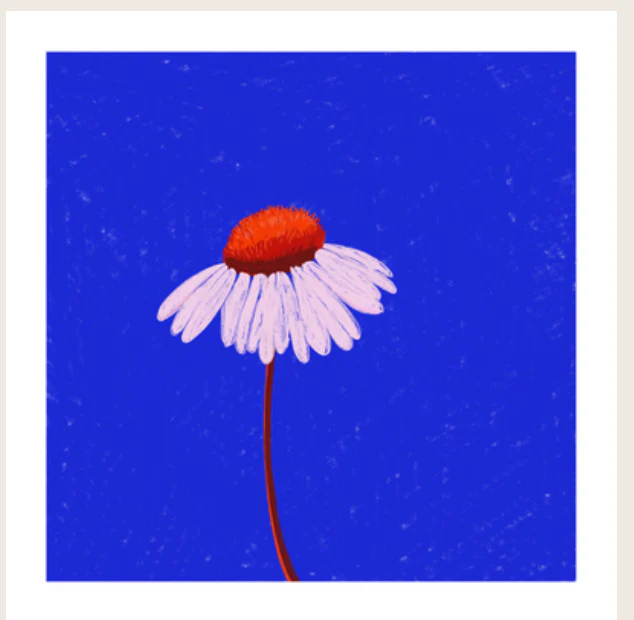 Affiches 20*20- Pauline Féménia – Image 8