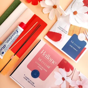 Kit créatif 6 cosmos en papier à créer - fleurs - Hailane