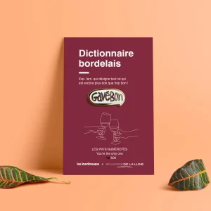 Pin's - Gavé bon - Echoppe de la Lune