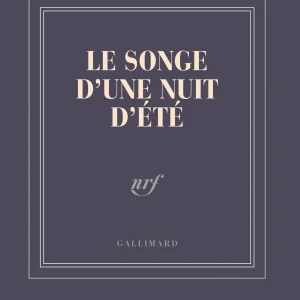 Carnet - Gallimard - Bleu - "le songe d'une nuit"