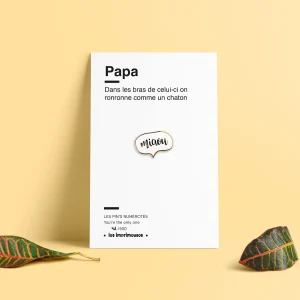 Pin's - Miaou - Papa - Spécial Fête des pères